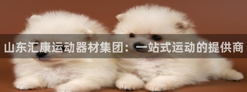 海南凯捷体育:山东汇康运动器材集团:一站式运动的提供商