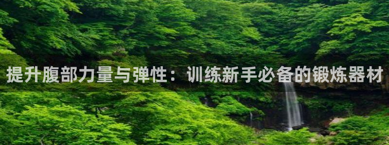 凯捷体育平台是正规平台吗安全吗:提升腹部力量与弹性:训练新手