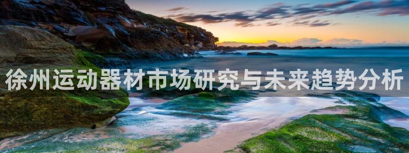 凯捷体育开户:徐州运动器材市场研究与未来趋势分析