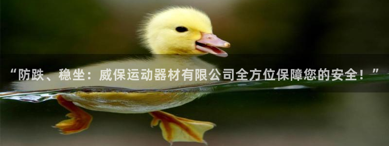 凯捷体育官方:“防跌、稳坐:威保运动器材有限公司全方位保障您